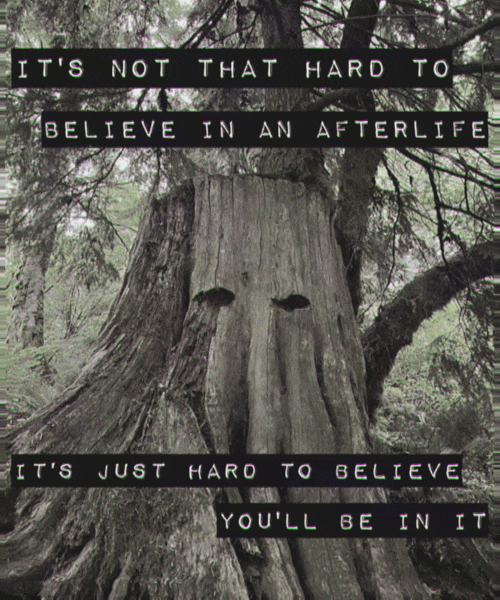 It's not that hard to believe in an afterlife. It's just hard to believe you'll be in it.
